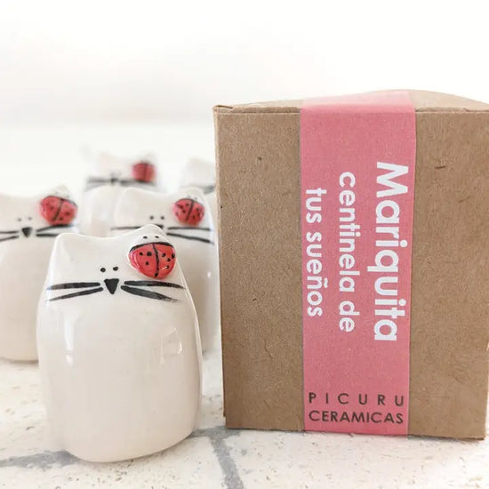 Talisman lieveheersbeestje