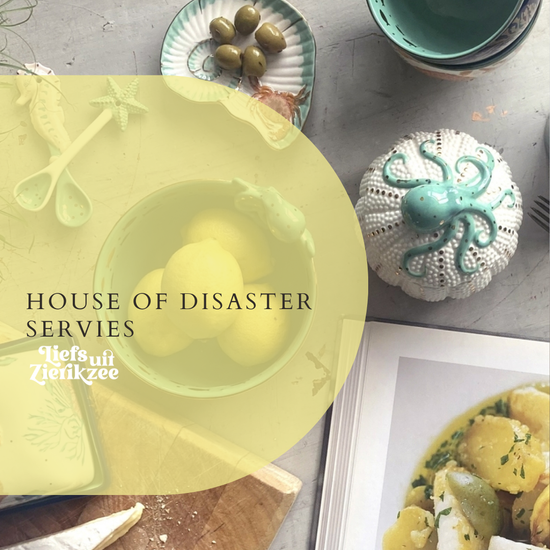 House of Disaster servies kopen in Nederland | Mokken, kopjes, schaaltjes en voorraadpotjes