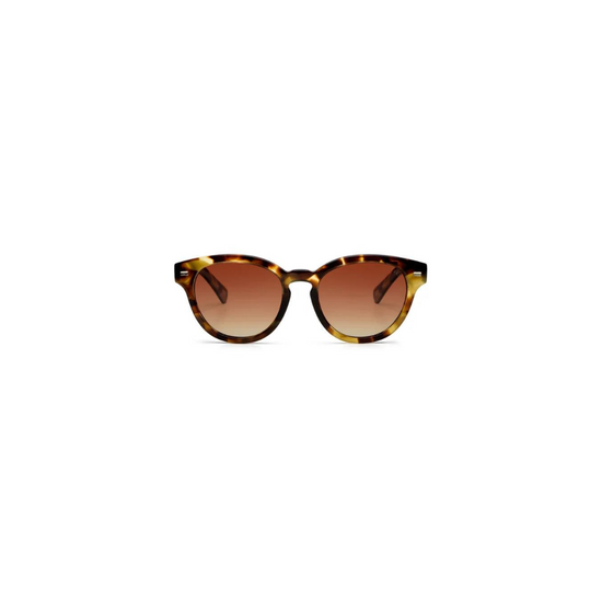 lunettes de soleil teddy - tortue claire